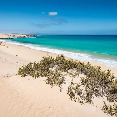 Holiday home Home2book Orican, Bbq, Pool & Terrace Lajares